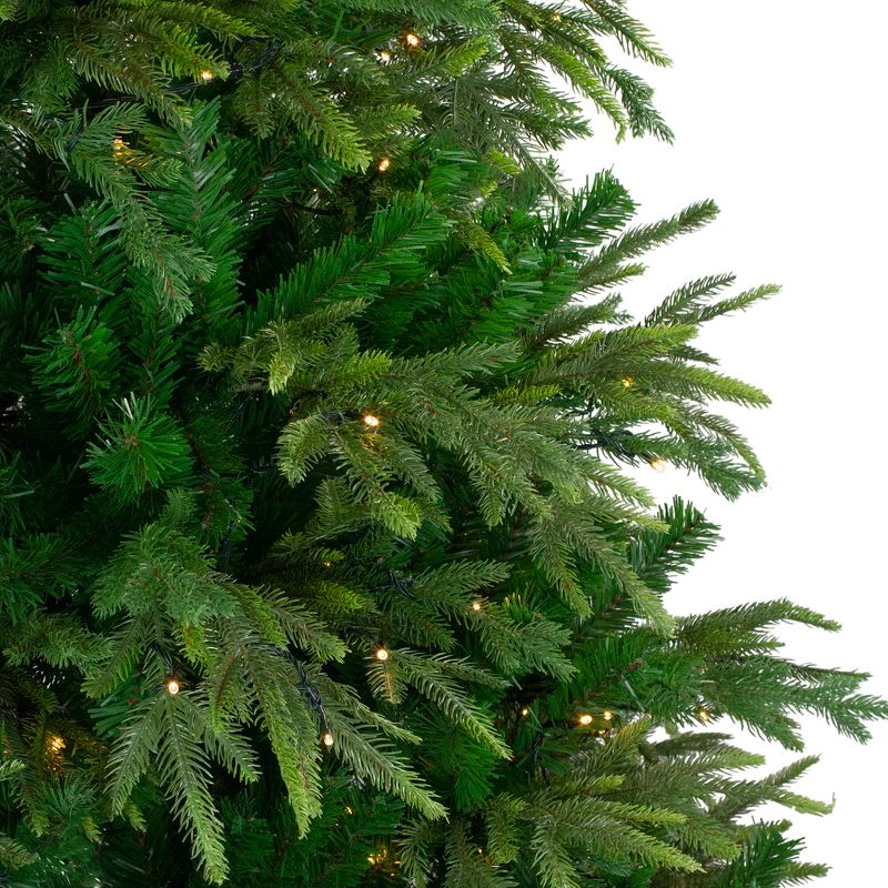 Northlight 7.5' Pre-Lit Roosevelt Fir Artificial Christmas Tree - Clear Lights, 4 of 10