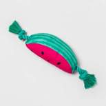 Watermelon with Rope Slider Dog Toy - Sun Squad™