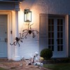 Gulches Outdoor Wall Lights - Black Industrial Lanterns & Sconces with Glass for Porch, Patio, and Garage (16.5-Inch & Large Options) - 3 of 4