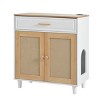Hidden Cat Litter Box Cabinet With Sisal Scratching Door,Storage Drawer And Charging Socket,Modern Pet House–LAOTIES - 4 of 4