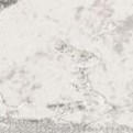 beige/charcoal