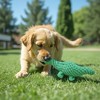 Alilang Durable Dog Rope Chew Toy for Interactive Play, Fun for Small to Medium Dogs - 2 of 4