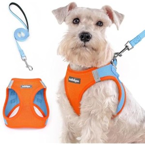 rabbitgoo Dog Harness Medium Sized and Leash Set, Step in Soft Light Puppy Pet Harness, Reflective for Safe Easy Walking, Blue & Orange XXL - 1 of 1