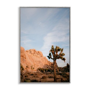 Stupell Industries Joshua Tree & Canyon Framed Giclee Art - 1 of 4