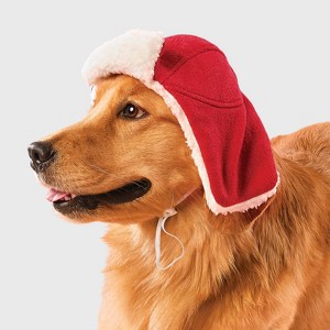 Red Trapper Dog Hat - Boots & Barkley™ - 1 of 3