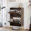 KWPZQEB Shoe Cabinet with 2 Flip Drawers, Hidden Wood Shoe Cabinet, Freestanding Shoe Storage Cabinet for Entryway Hallway, Walnut - 3 of 4
