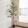 Sunnydaze Artificial Olive Tree Tall Faux Silk Plant for Indoor Spaces in Black Planter Base - 2pk - 4 of 4
