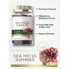 Carlyle Sea Moss Gummies | 70 Count | Strawberry Blueberry Flavor | Vegan, Non-GMO, Gluten Free - 3 of 4