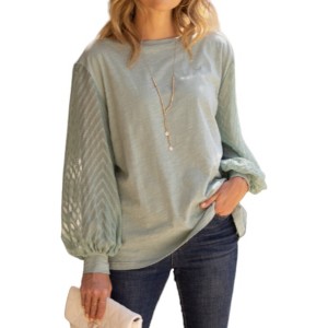 Amaryllis Women's Boat Neck Top with Sheer Textured Chevron Balloon Sleeves Relaxed Fit Versatile Pullover - 1 of 4