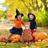 Belly Babies Teddy Bear Costume Child Toddler - 2 of 4