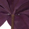 Vickerman 22" Velvet Sheen Glitter Trim Poinsettia - 3 of 4