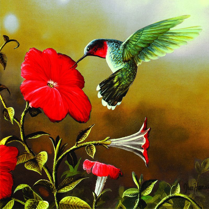 Sunsout Ruby Throat 500 pc   Jigsaw Puzzle 67324, 1 of 6