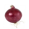 Radyan Organic Red Onion - 2 of 2