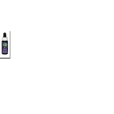 Angelica Dropper by Flower Essence Services  -  0.25 oz Liquid
