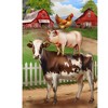 Briarwood Lane Summer House Flag 40x28 For Outdoor Farm Friends For Summer House Flag - 3 of 4