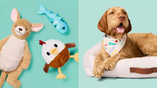 Target dog sale chew toys