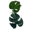 Vickerman Green Monstera Collection - 2 of 4