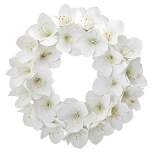 24" Artificial Amaryllis Wreath White - Nearly Natural