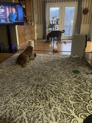 Guest review image 1 of 1, zoom in