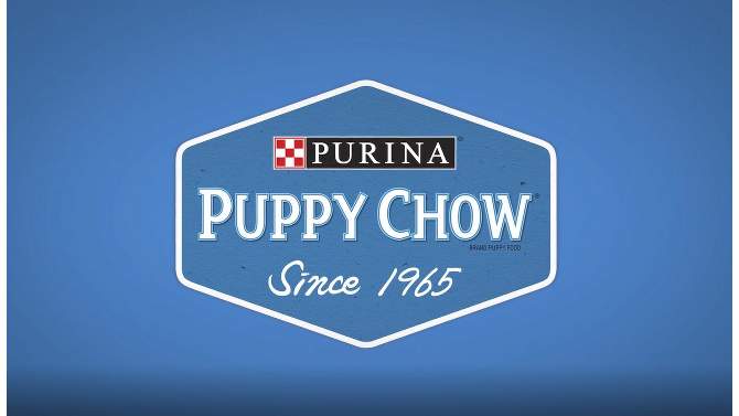 Purina Puppy Chow with Real Chicken &#38; Rice Complete Dry Dog Food - 4.4lbs, 2 of 8, play video