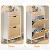 Freestanding Shoe Rack, Ratten Modern Flip Doors Shoe Storage Cabinet with 2 Adjustable Shelves and Drawer - 4 of 4