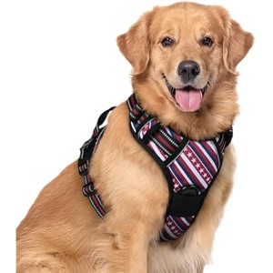 rabbitgoo Dog Harness No Pull with 2 Leash Clips, Control Handle for Large Dogs, Red Stripe, XL - 1 of 1