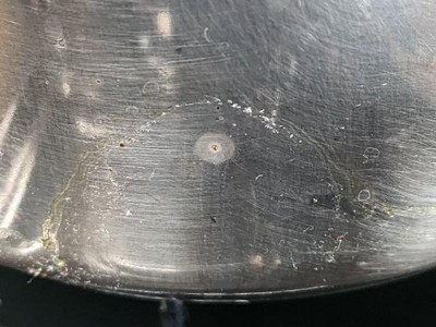 Guest review image 1 of 1, zoom in