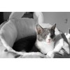 Munora Small Pet Sleeping Bag Bed - Ultra-Soft Plush, Anti-Skid Bottom - Machine Washable for Cats & Small Pets Under 6.6 lbs (Grey) - 2 of 4