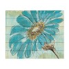 Trademark Fine Art -Chris Paschke 'Spa Daisies II' Canvas Art - 2 of 4