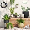 7" Wide Novelty Modern Outdoor Wall Ceramic Planter Pot Ivory - Threshold™ - image 2 of 4