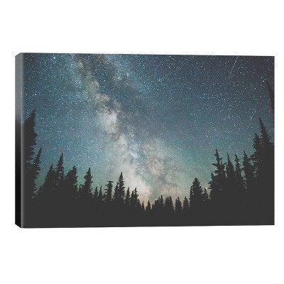 12" x 18" x 0.75" Stars Over The Forest Iii by Luke Anthony Gram Unframed Wall Canvas - iCanvas