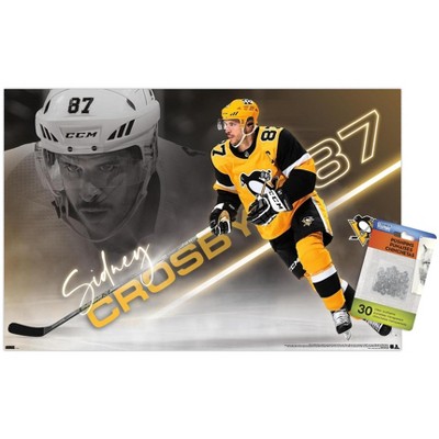 Trends International Nhl Pittsburgh Penguins - Sidney Crosby 21 ...