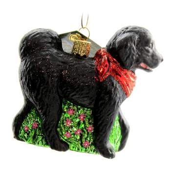 Old World Christmas Black Doodle Dog  -  One Ornament 3.5 Inches -  Ornament Faithful Pet  -  12560.  -  Glass  -  Black
