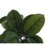 Maggift Artificial Plant Rubber Tree Indoor Faux Fake Floor Greenery Potted Real Touch Decorative Green Leaves Black Pot, Green, 25"*27"*52" - 4 of 4