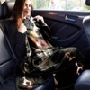 Bernese Mountain Dog Pattern Four Seasons Car Nap Blanket Flannel Blanket, Christmas Gift. - 3 of 4