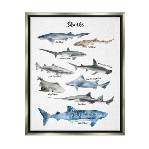Stupell Industries Nautical Shark Chart Watercolor Marine Animals - 1 of 4