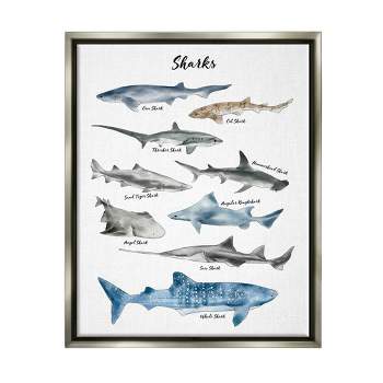 Stupell Industries Nautical Shark Chart Watercolor Marine Animals