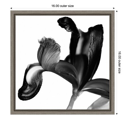 Black and White Botanical Iris Canvas Print with Frame, 16 x 16 inches
