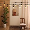 BrightLux 18ct LED 36ft Filament String Lights: ETL Listed, 2-Year Warranty, S14 Shape - 3 of 4
