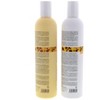 Milk_Shake Color Maintainer Shampoo 10.1 oz & Milk_Shake Color Maintainer Conditioner 10.1 oz DUO - 2 of 4