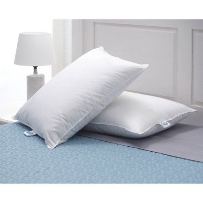 Standard 2pk Down Bed Pillow White - Allied Home
