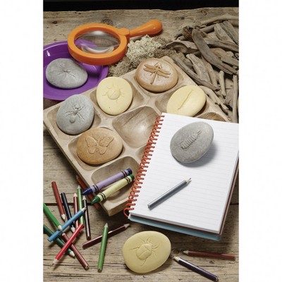 Outdoor Stone and Resin Bug Exploration Set for Kids