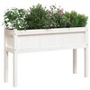 vidaXL Garden Planters 2 pcs with Legs White Solid Wood Pine - 3 of 4