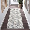 Washable Area Rugs Vintage Floral Living Room Rug Stain-Resistant Low Pile Non Slip Indoor Distressed Print Carpet - 2 of 4