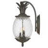 Acclaim Lighting Lanai 3 - Light Wall Light in  Black Coral - 2 of 4