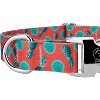 Country Brook Petz Premium Dog Collar - Tasty Collection - 4 of 4