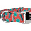 Country Brook Petz Premium Tropical Tango Dog Collar Limited Edition - image 4 of 4