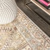 Darija Ornate Geometric Medallion Area Rug  - JONATHAN Y - 3 of 4