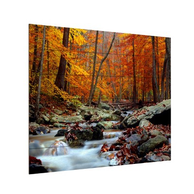 Trademark Fine Art-CATeyes 'Ultimate Truth' Wood Slat Art