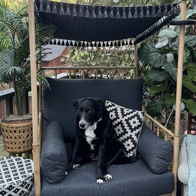 Calla Canopy Patio Accent Chair Charcoal Opalhouse Target